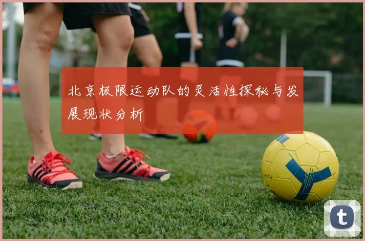北京极限运动队的灵活性探秘与发展现状分析